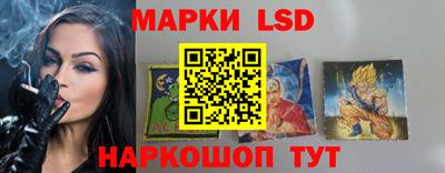 ешки Бердск