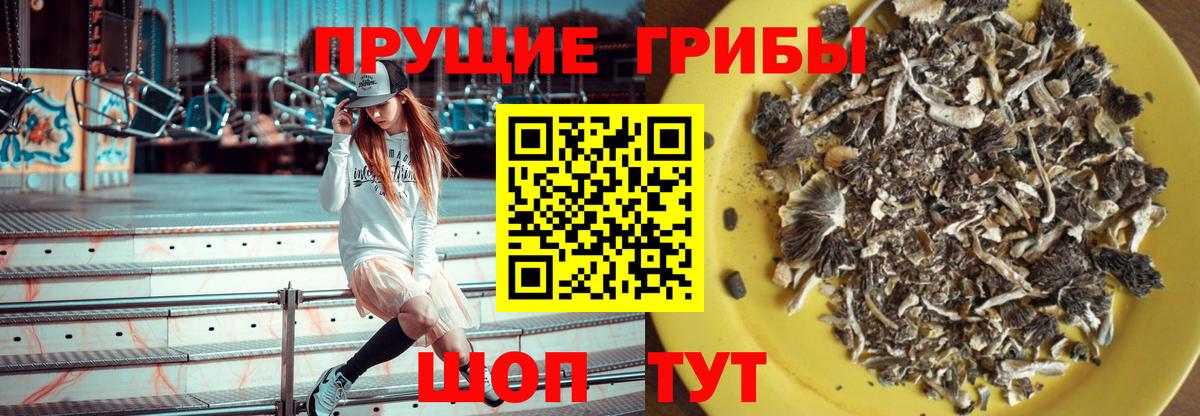 Галлюциногенные грибы прущие грибы  Вход с VPN  Кириши 
